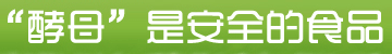 酵母是安全的食品