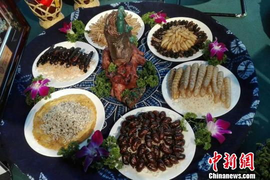 水乡风情宴，主材柴虫、蜂蛹、金蝉、水蜈蚣、蚂蚱、蝎子、竹虫、蚂蚁蛋。这是一道昆虫做出的菜品，营养高、味道鲜，具有提高免疫力、延缓衰老之功效。　贺先青 摄